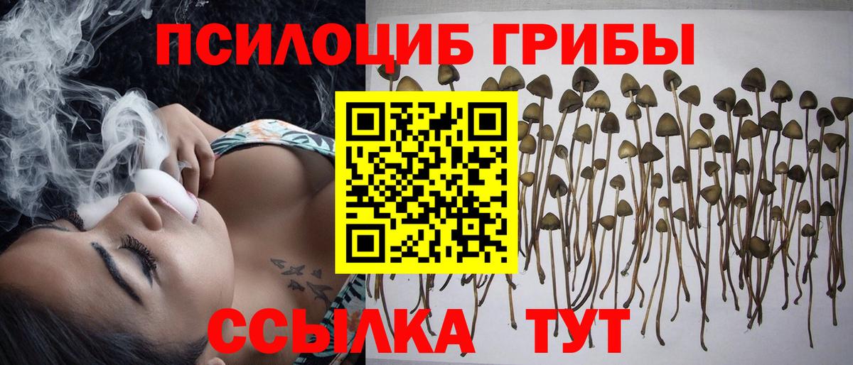 Псилоцибиновые грибы прущие грибы  Вход с VPN  Сафоново  Псилоцибиновые грибы Cubensis 